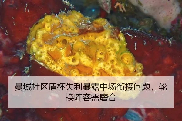 man-cheng-she-qu-dun-bei-shi-li-bao-lu-zhong-chang-xian-jie-wen-ti-lun-huan-zhen-rong-xu-mo-he-2-273.jpg